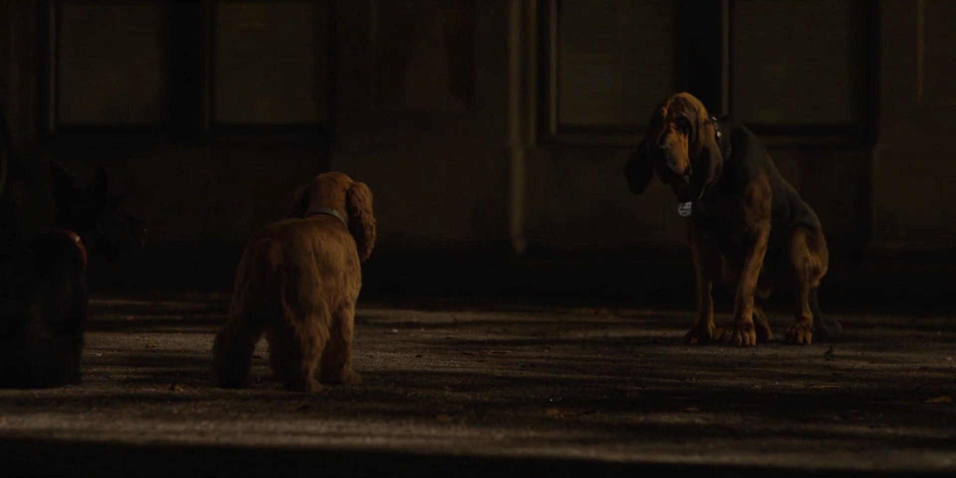 Shot 1543