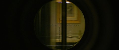 Shot 254
