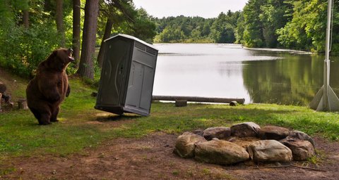 Shot 1226