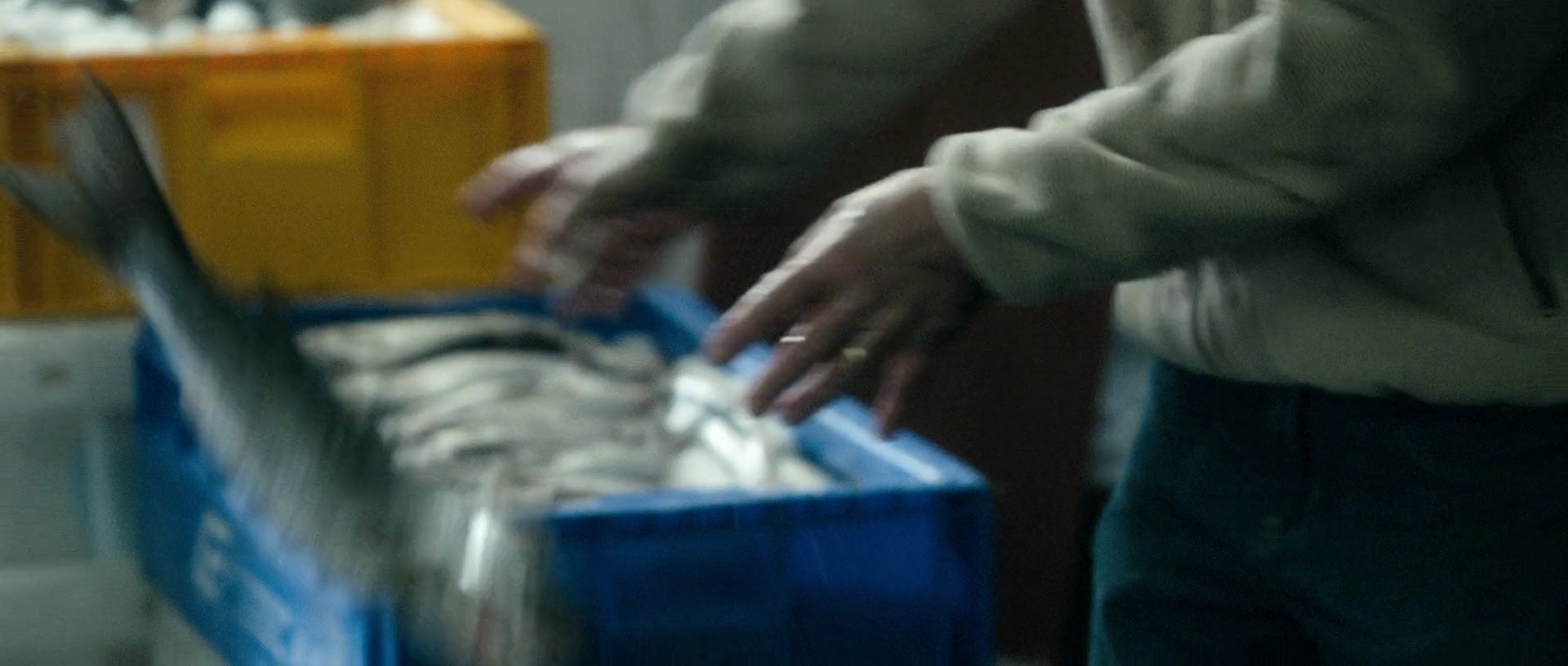 Shot 412