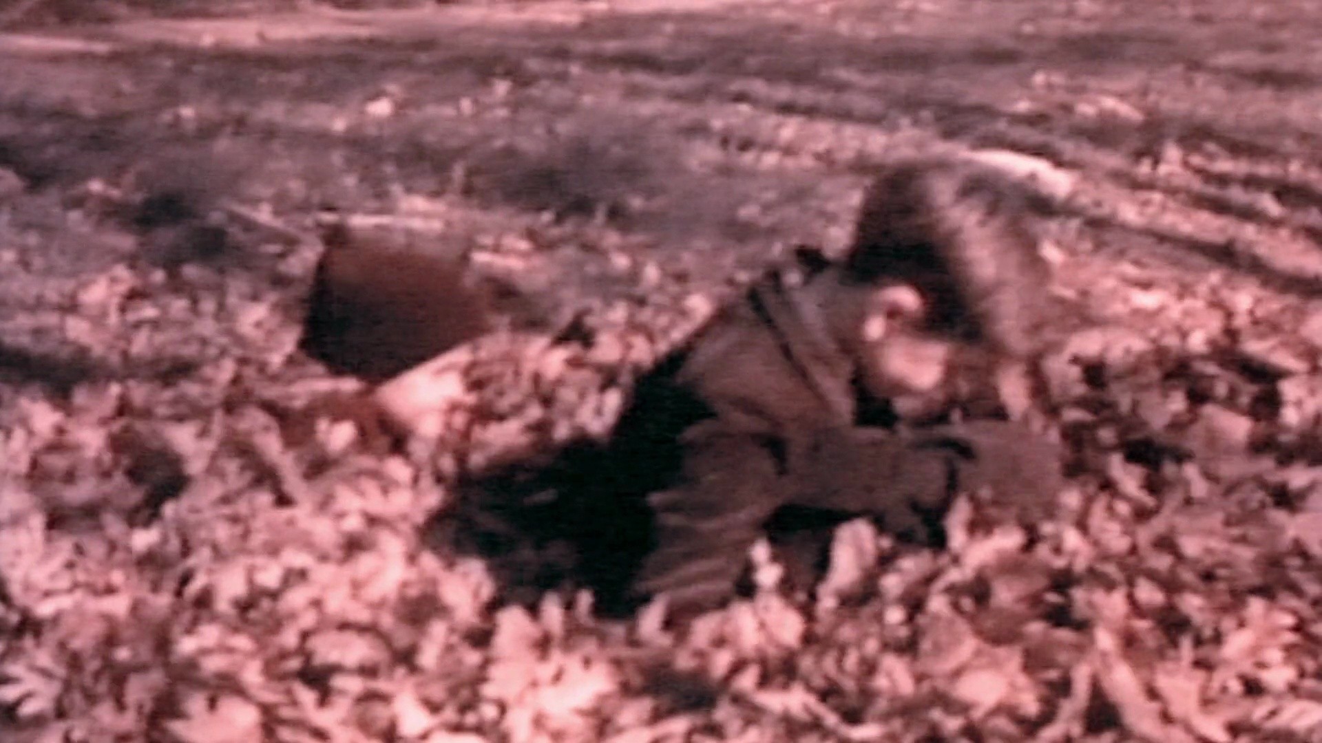 Shot 1961