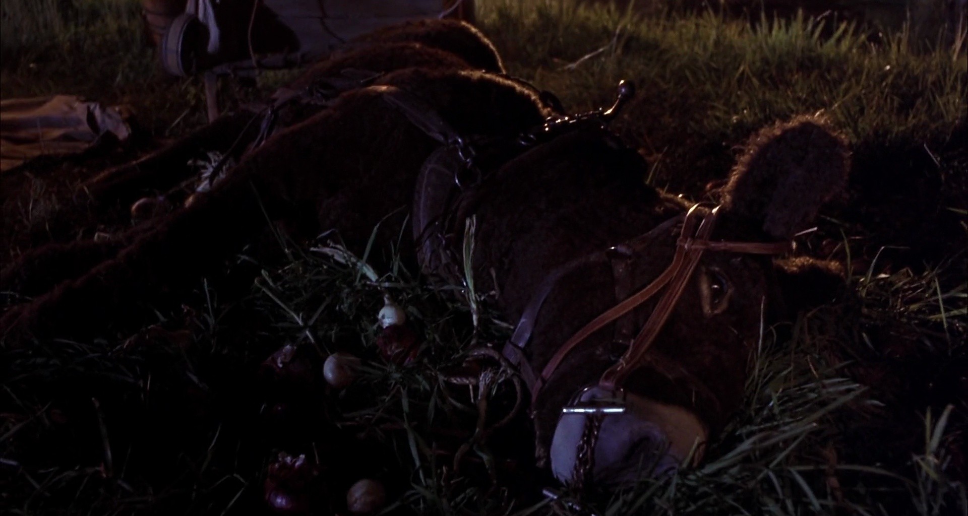 Shot 1029