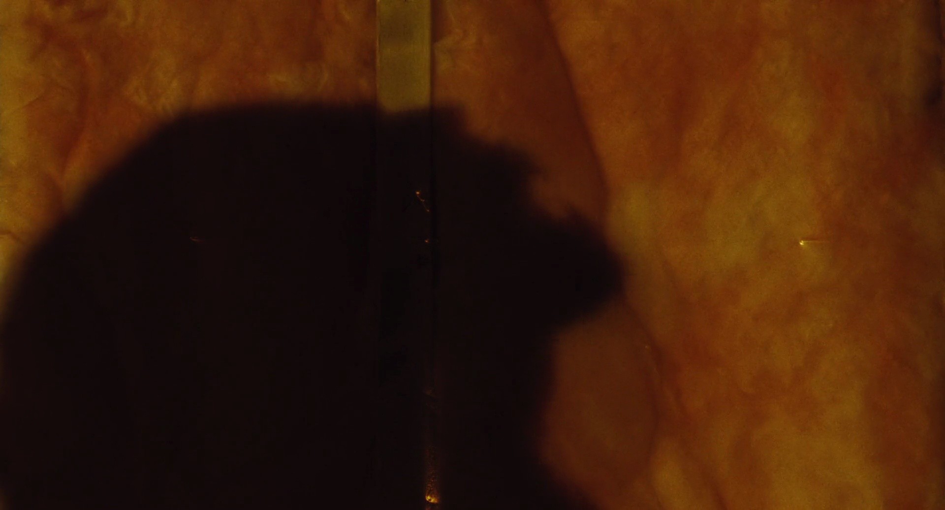 Shot 930