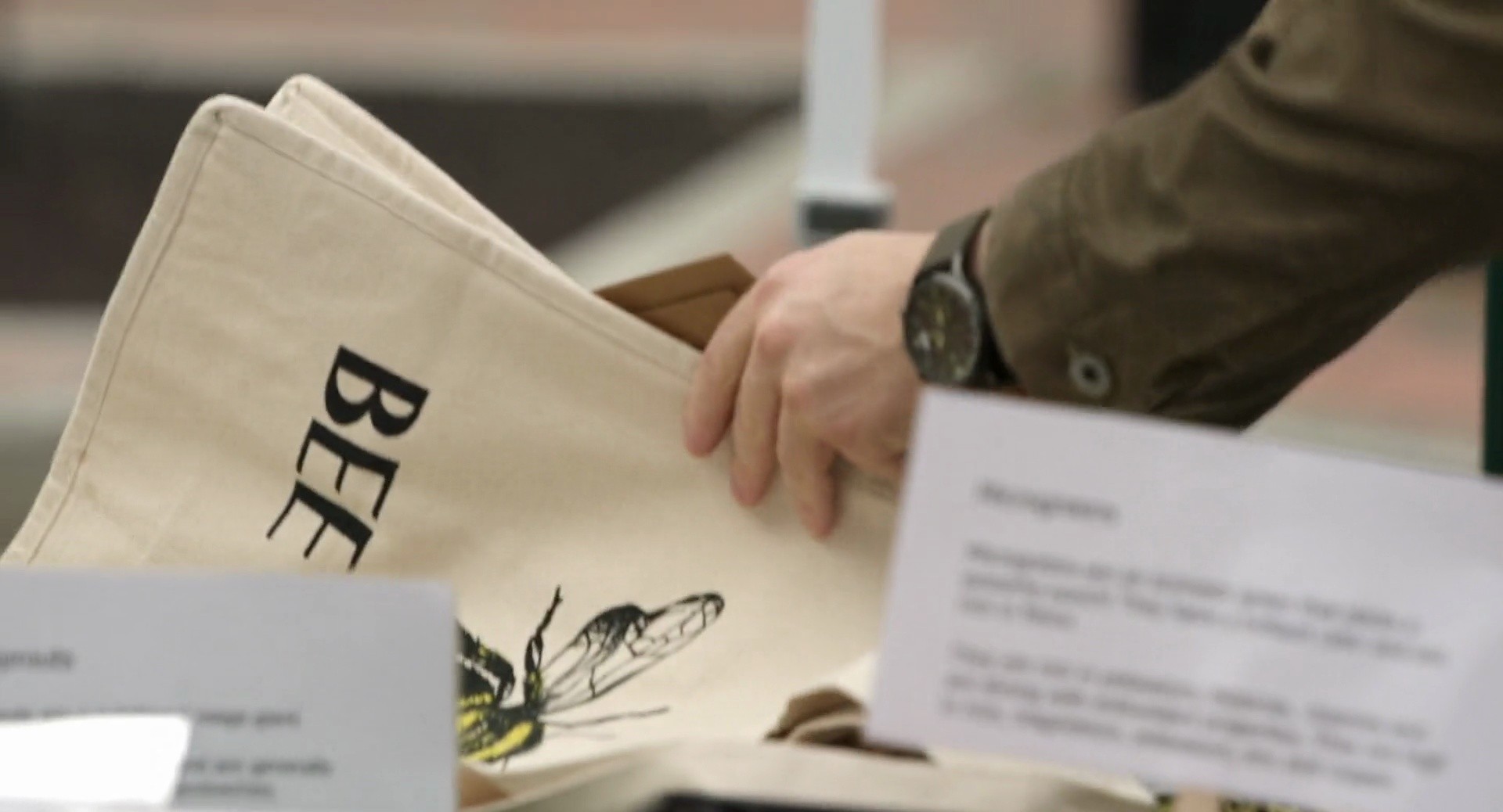 Shot 44
