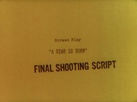 Shot 7
