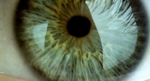 Shot 419
