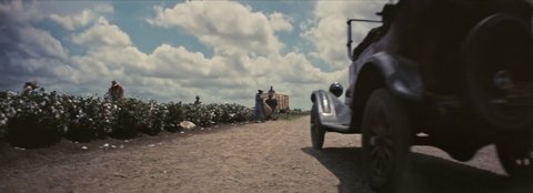 Shot 481