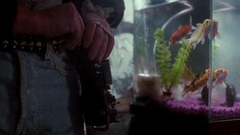 Shot 1387