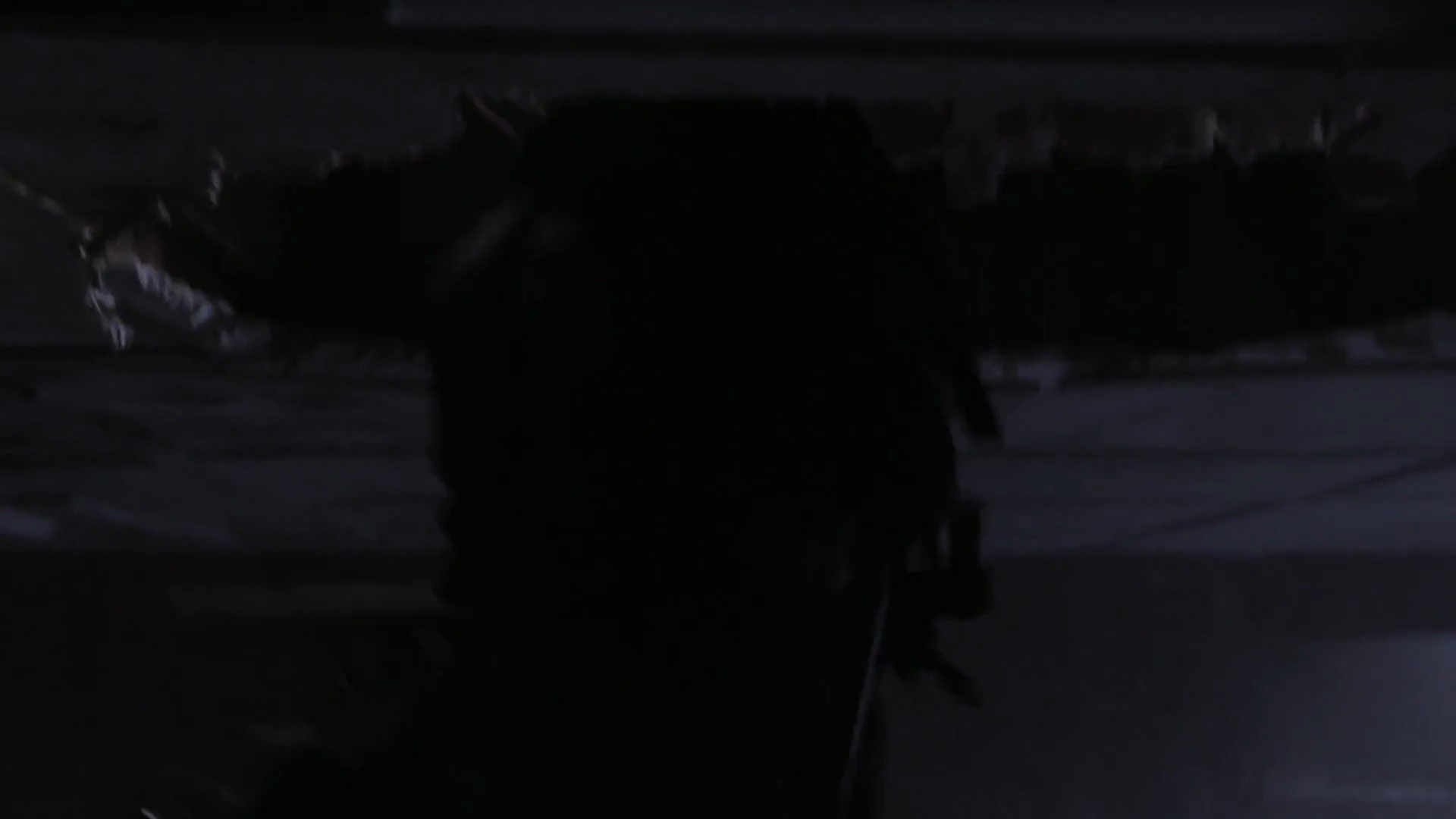 Shot 528