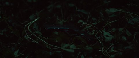 Shot 1042