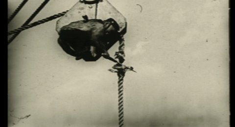Shot 1886