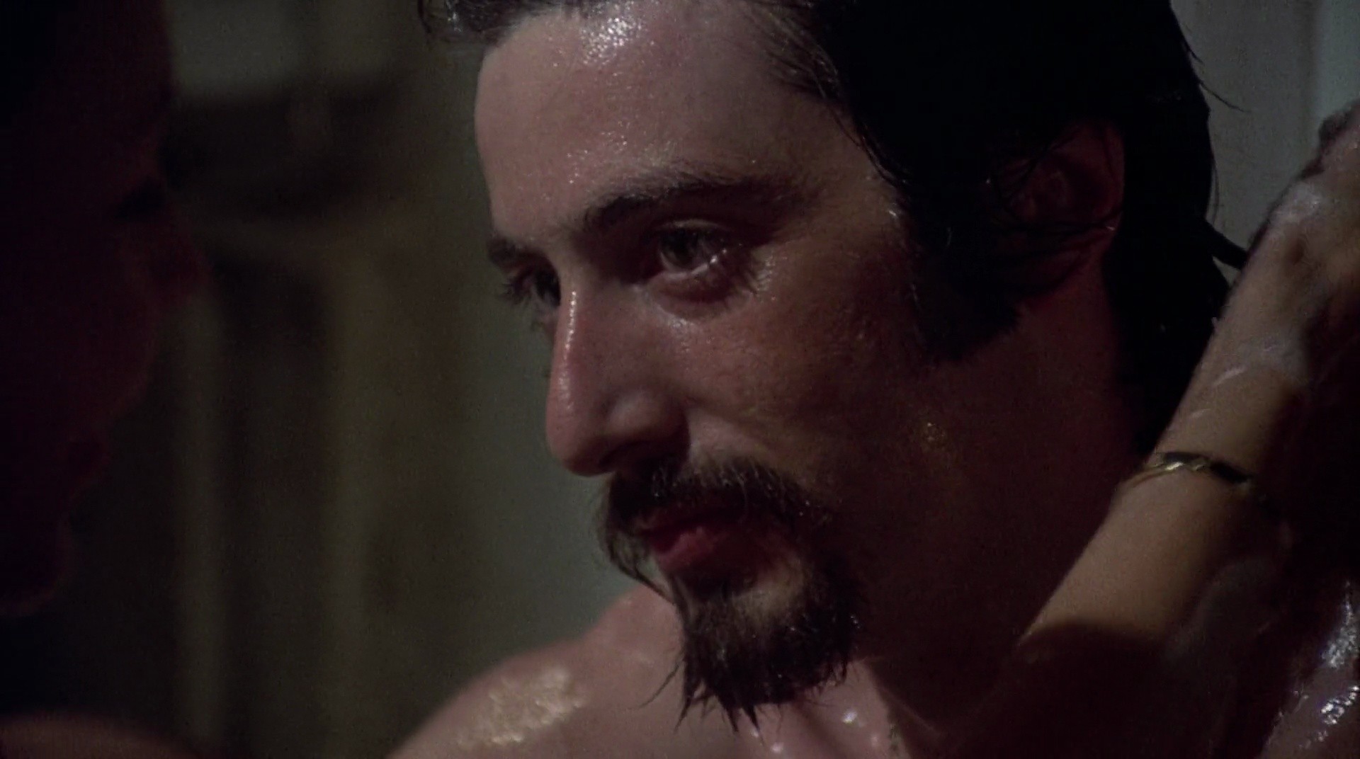 Shot 446