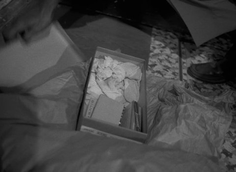 Shot 528