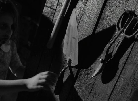 Shot 1246