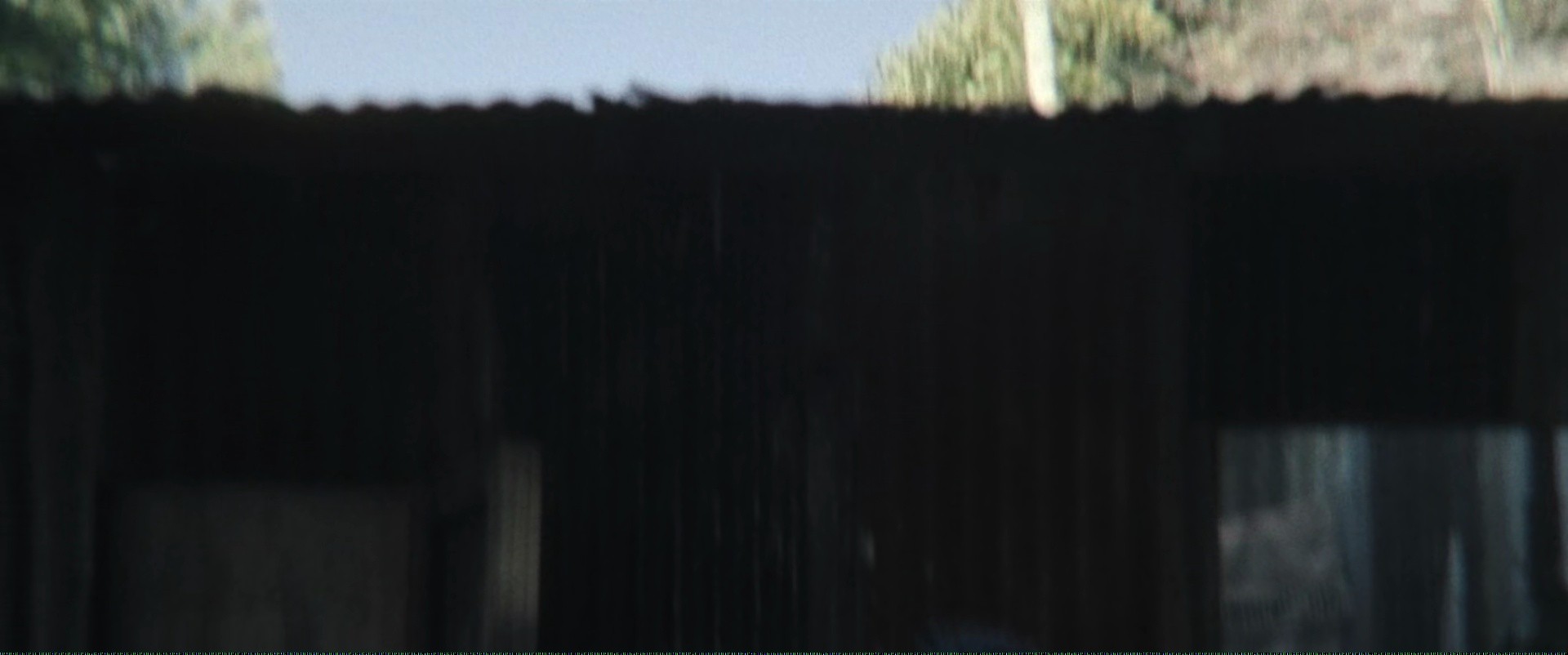 Shot 2011