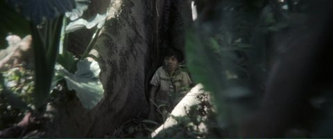 Shot 2004
