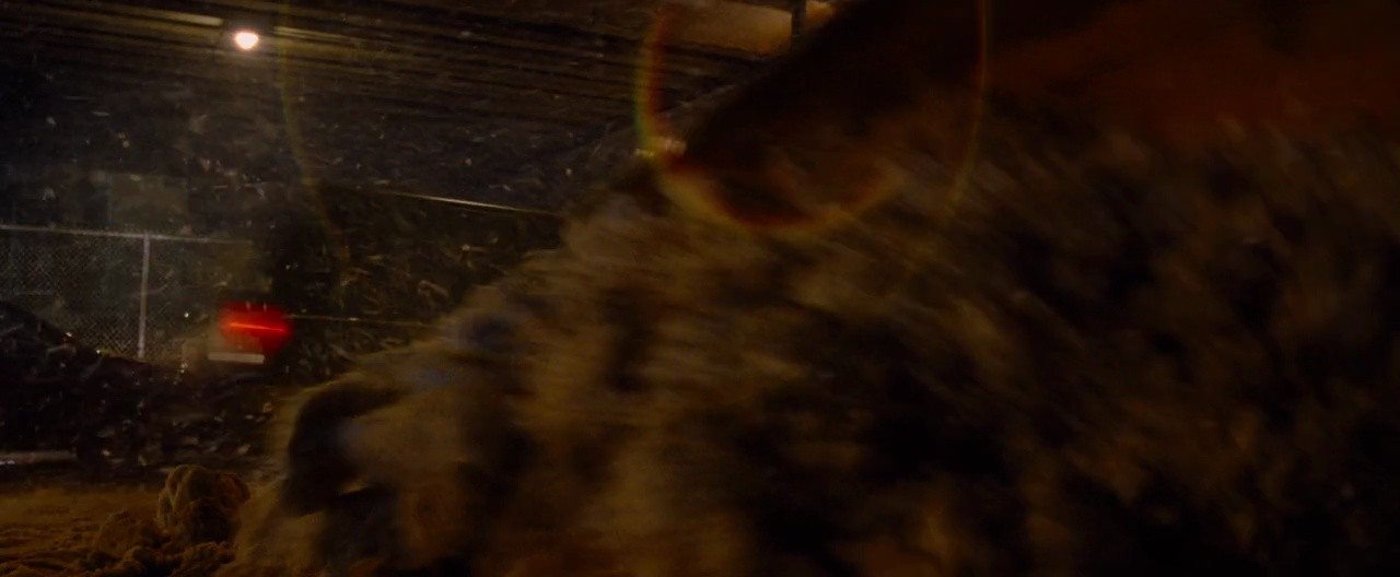 Shot 1214