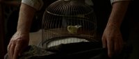 Shot 44