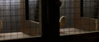 Shot 10