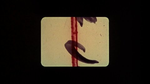 Shot 21
