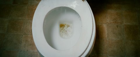 Shot 449