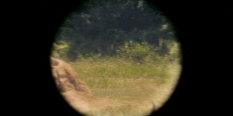 Shot 1109