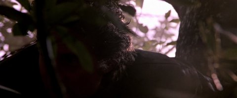 Shot 1990
