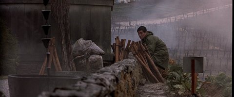 Shot 2015