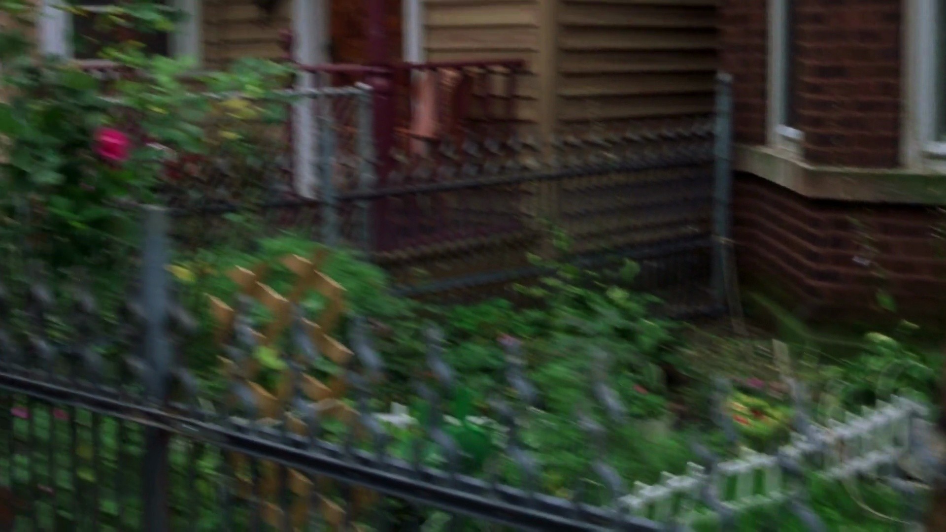 Shot 537