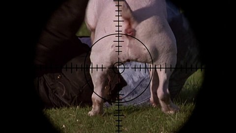 Shot 169