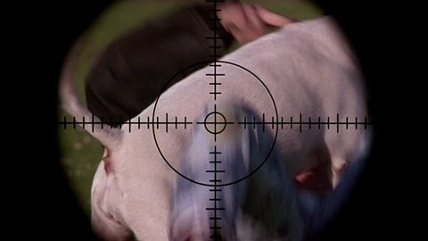 Shot 170