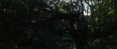 Shot 9