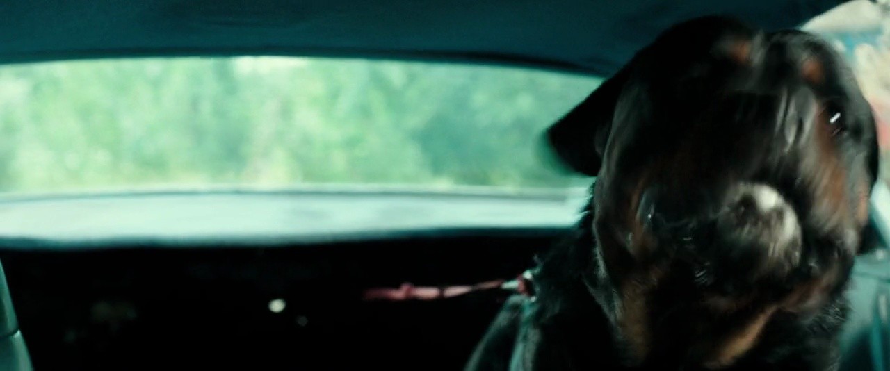 Shot 1159