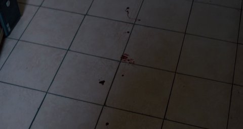 Shot 343