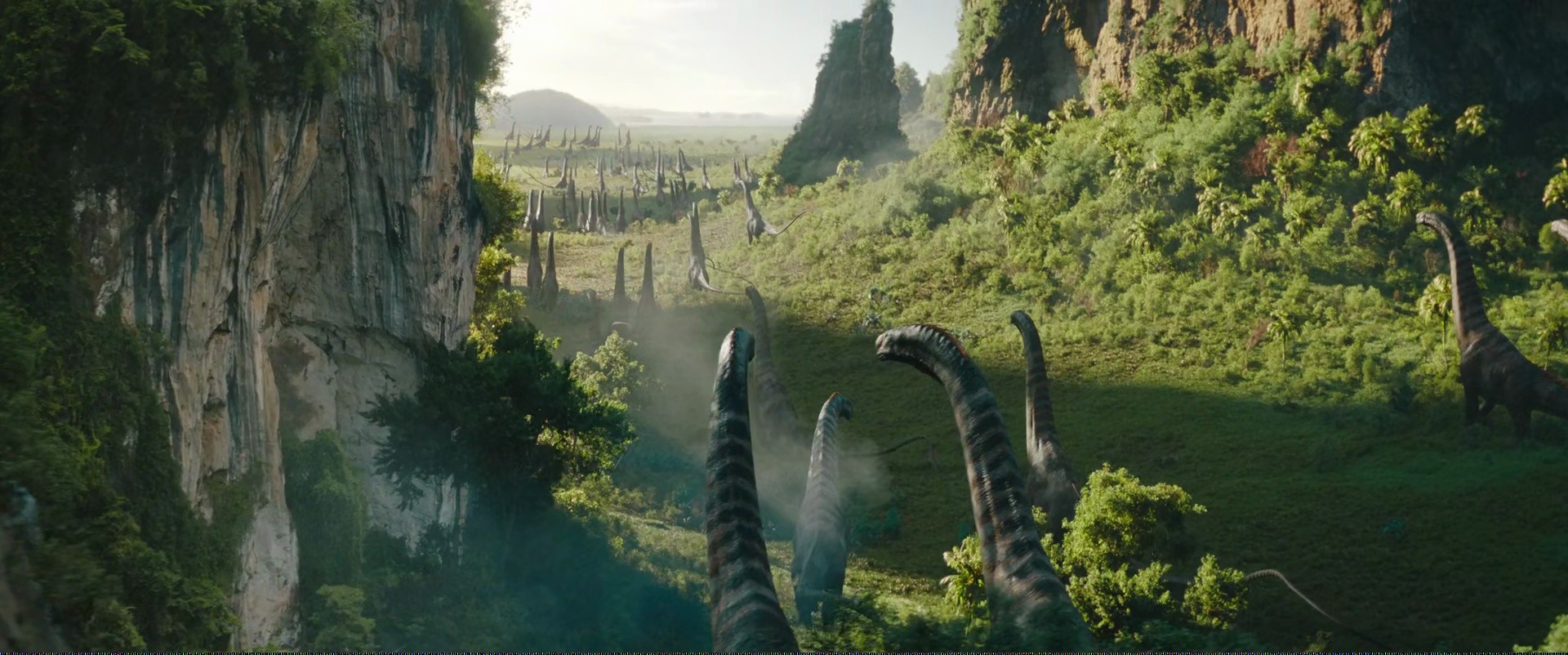 Shot 1290