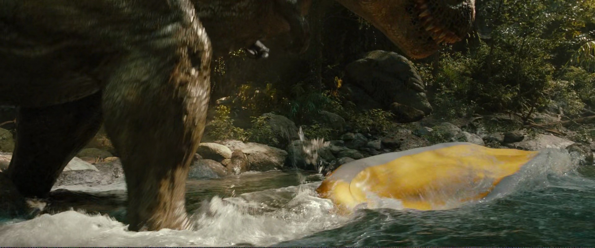 Shot 1446