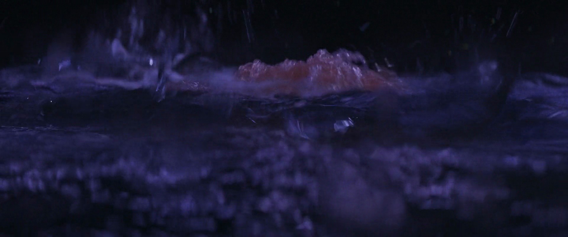 Shot 1632
