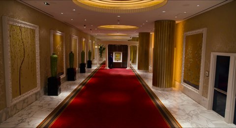 Shot 533