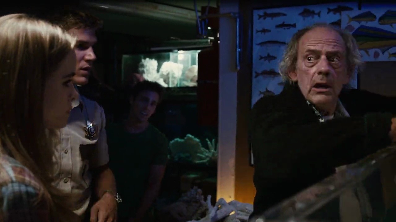 Shot 737