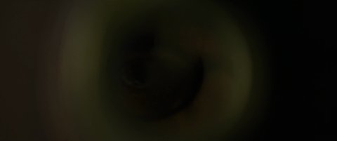 Shot 776