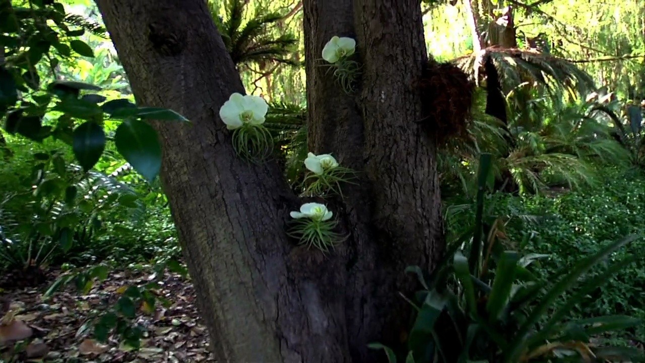 Shot 389