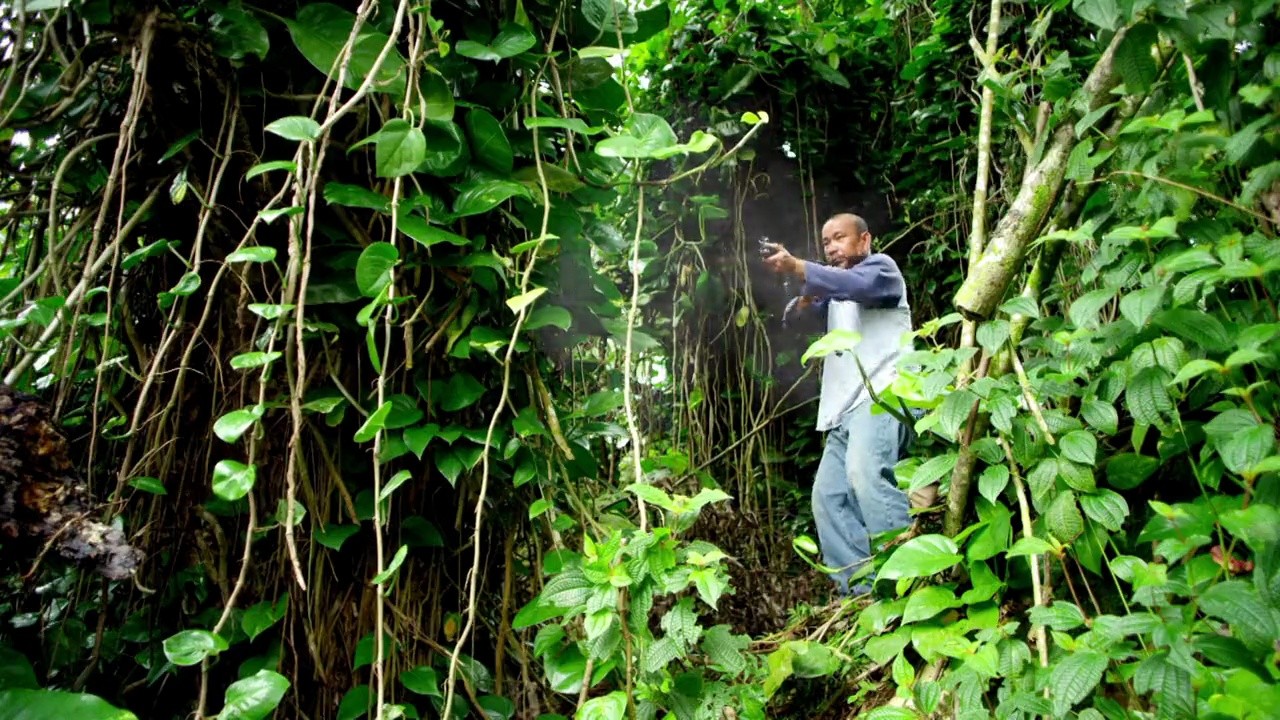 Shot 656