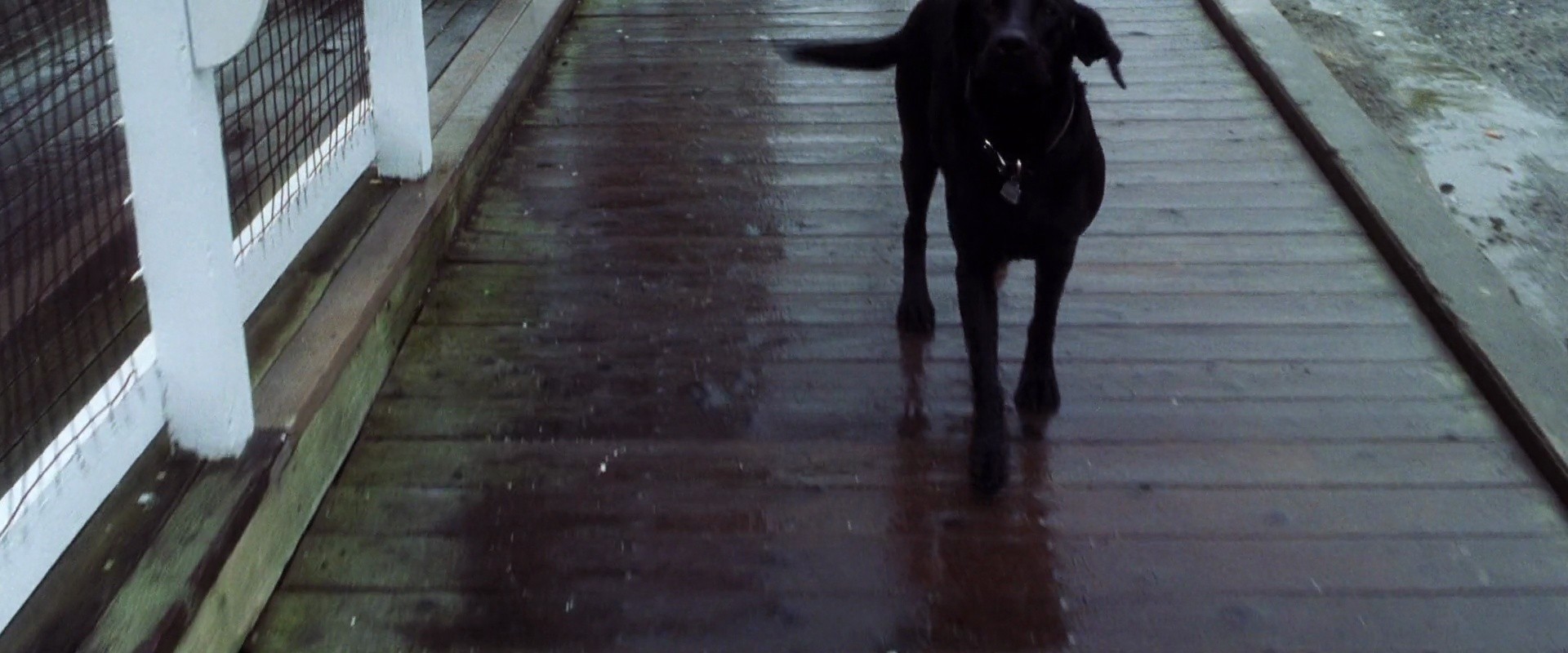 Shot 225