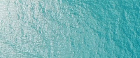 Shot 880