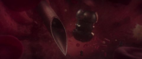 Shot 2219