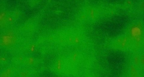 Shot 254