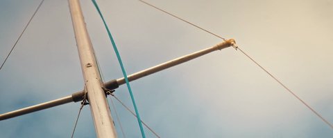 Shot 7