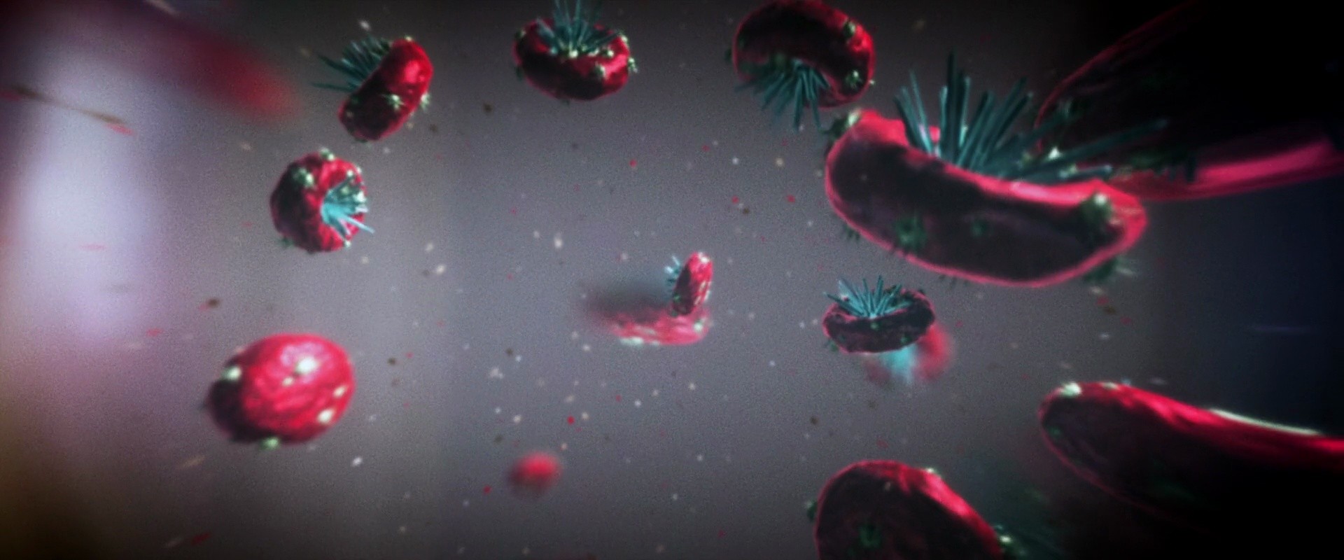 Shot 169