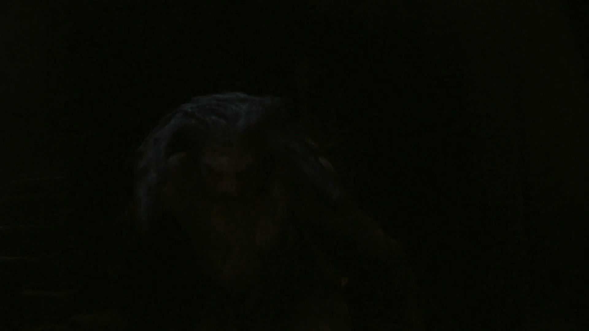 Shot 1006