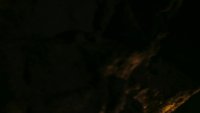 Shot 2